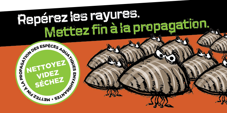 Reprez les rayures. Mettez fin  la propagation